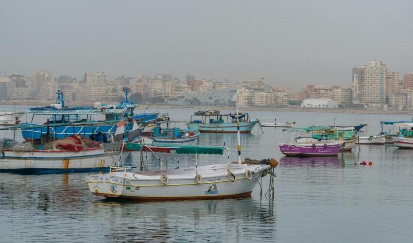 Alexandria Tour