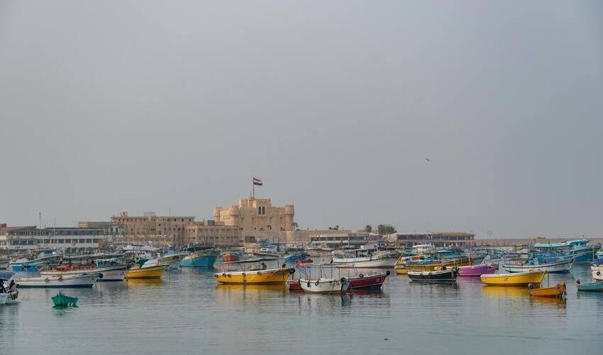 Alexandria Tour