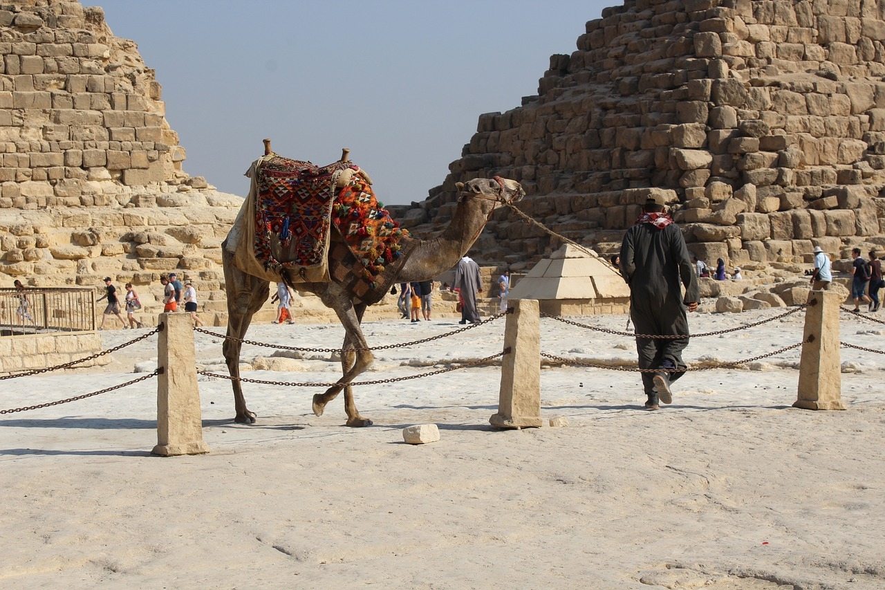 Cairo Layover Tour