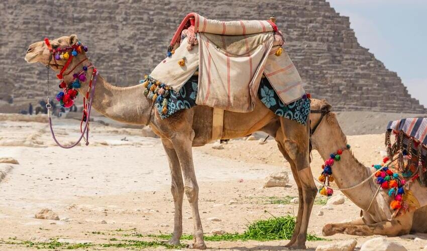 Giza Pyramids, Egyptian Museum, Felucca & Khan Khalili & Sound & Light show