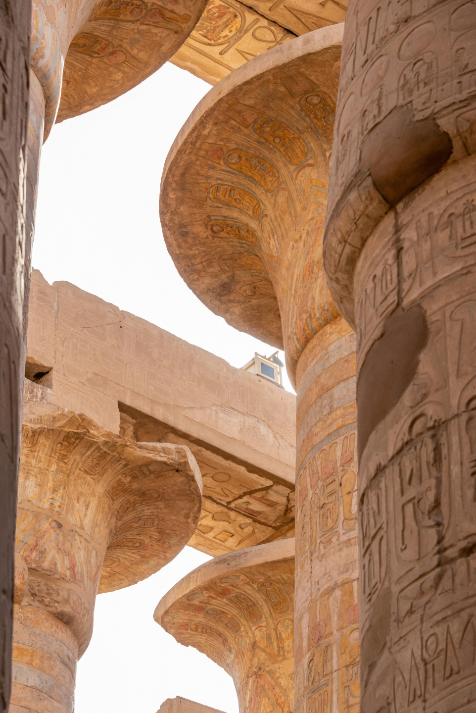 Luxor Tour