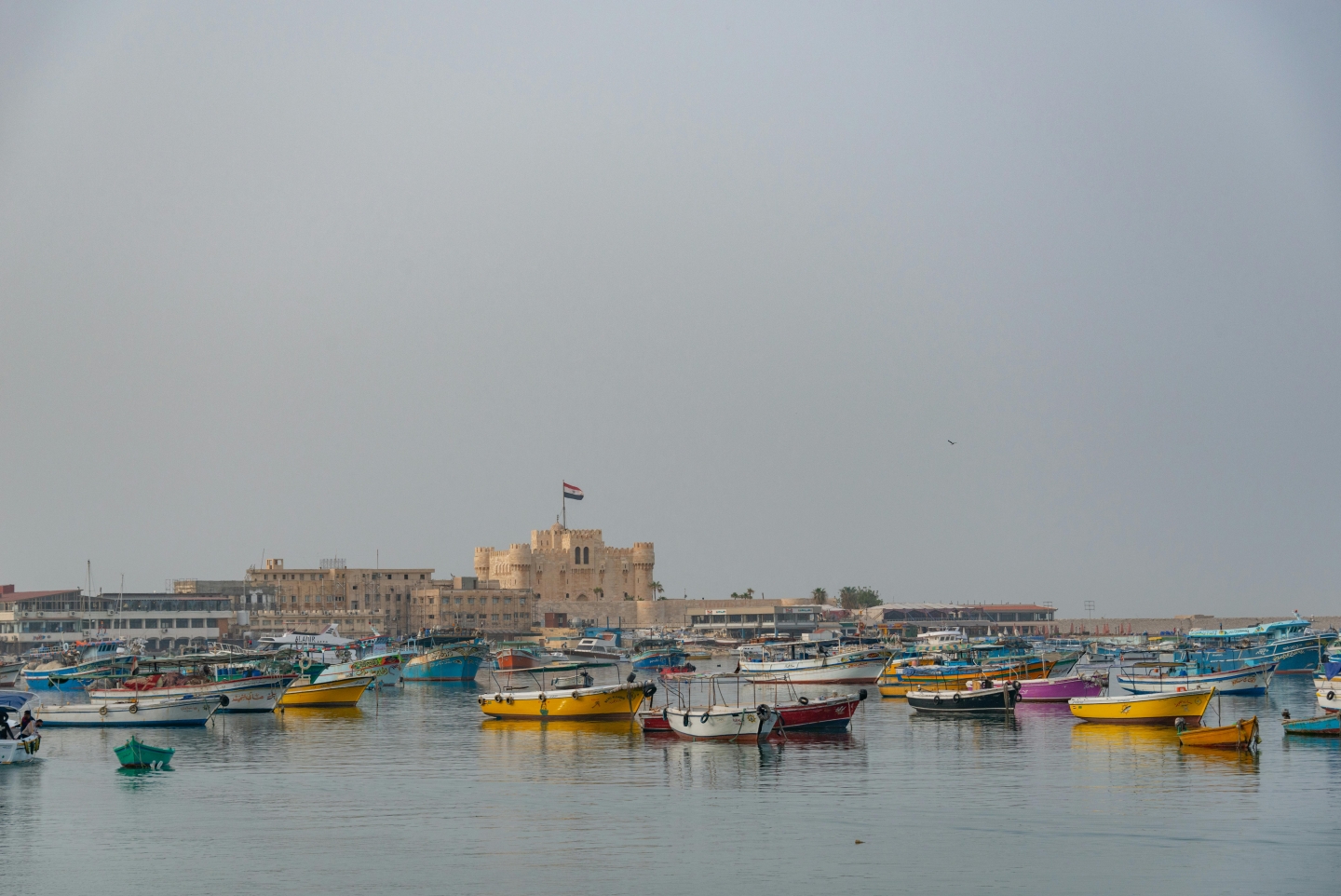 5 Cities in 5 days (Cairo, Giza, Fayoum, Alex & Luxor)